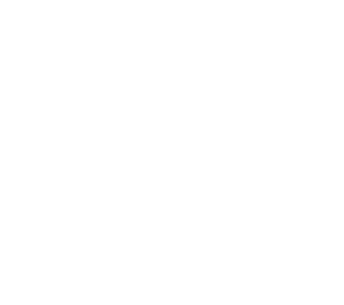 pHoenix logo